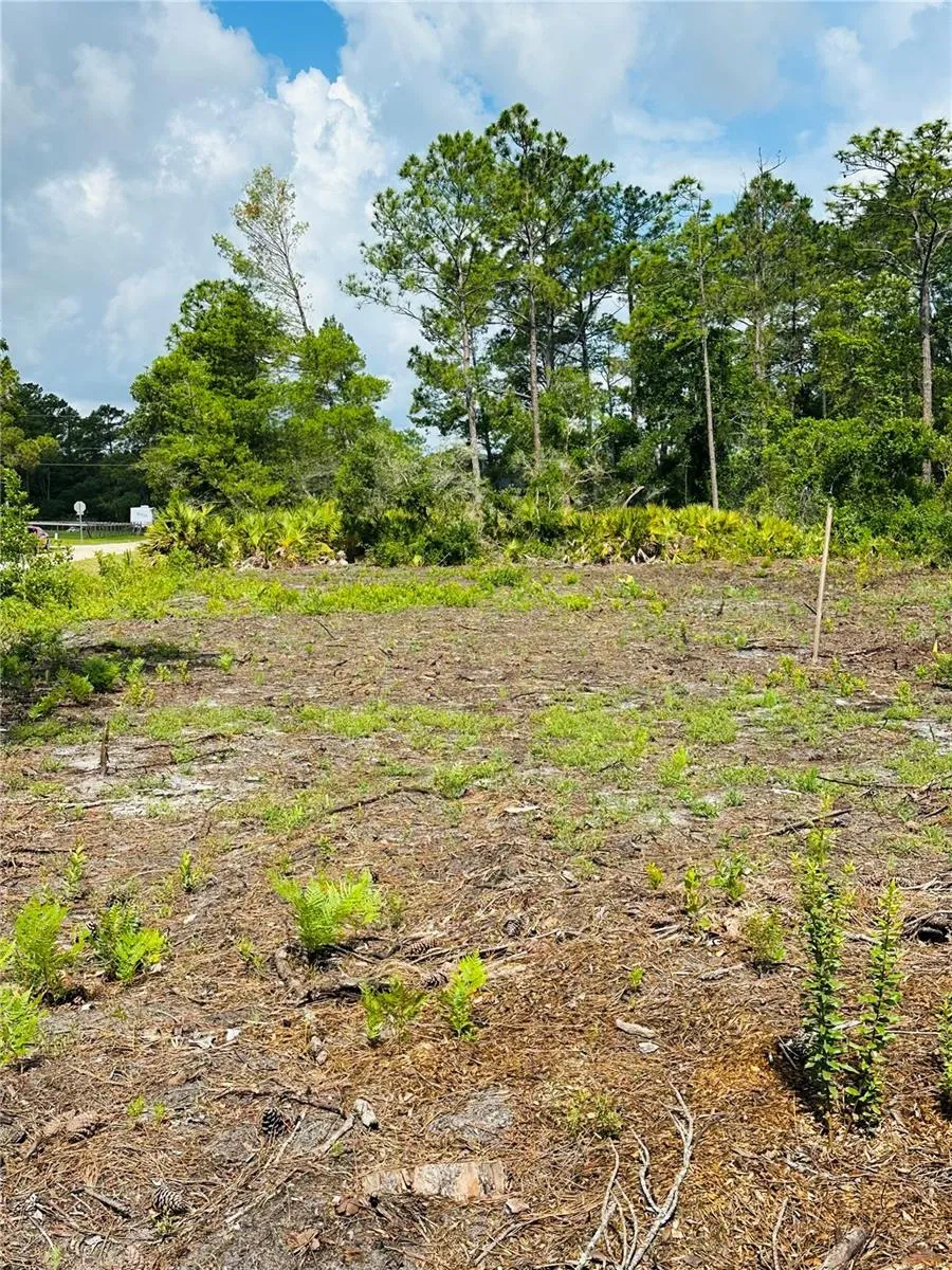 2873 LAUREL ROAD Deland, FL 32724