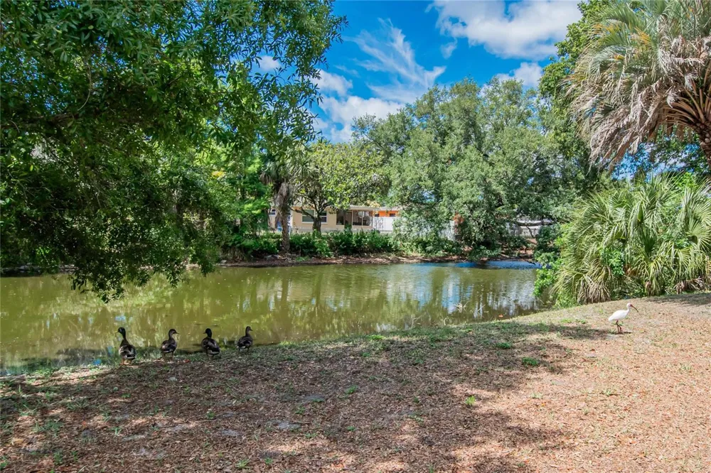 750 GRAND CYPRESS LANE Tarpon Springs, FL 34689