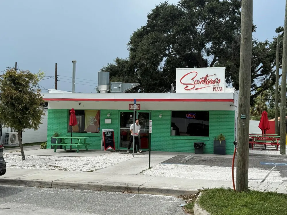 1715 W CARMEN STREET Tampa, FL 33606