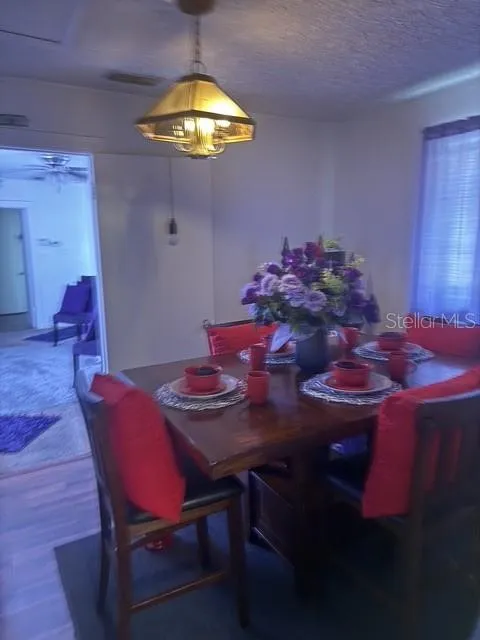 1715 W CARMEN STREET Tampa, FL 33606