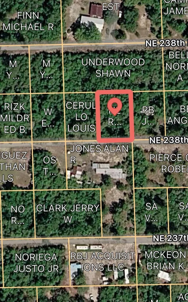 15589 NE 238TH STREET Fort Mc Coy, FL 32134
