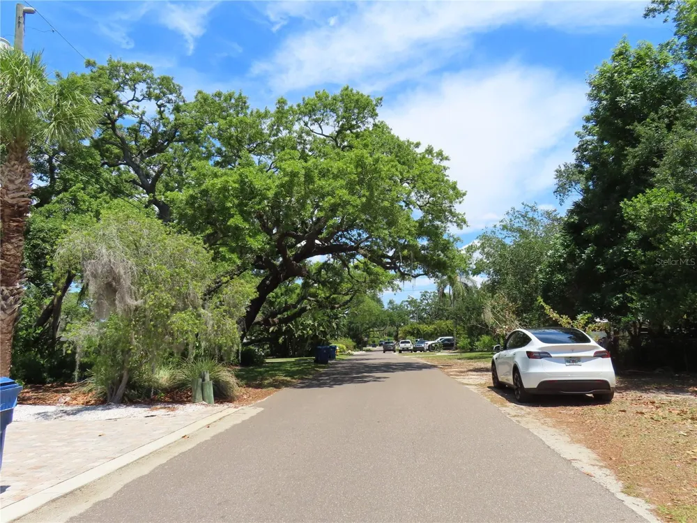 MAYO Crystal Beach, FL 34681