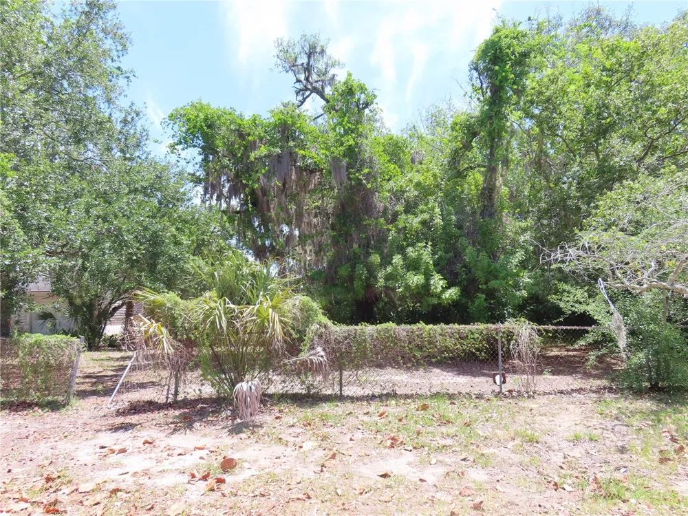 MAYO Crystal Beach, FL 34681