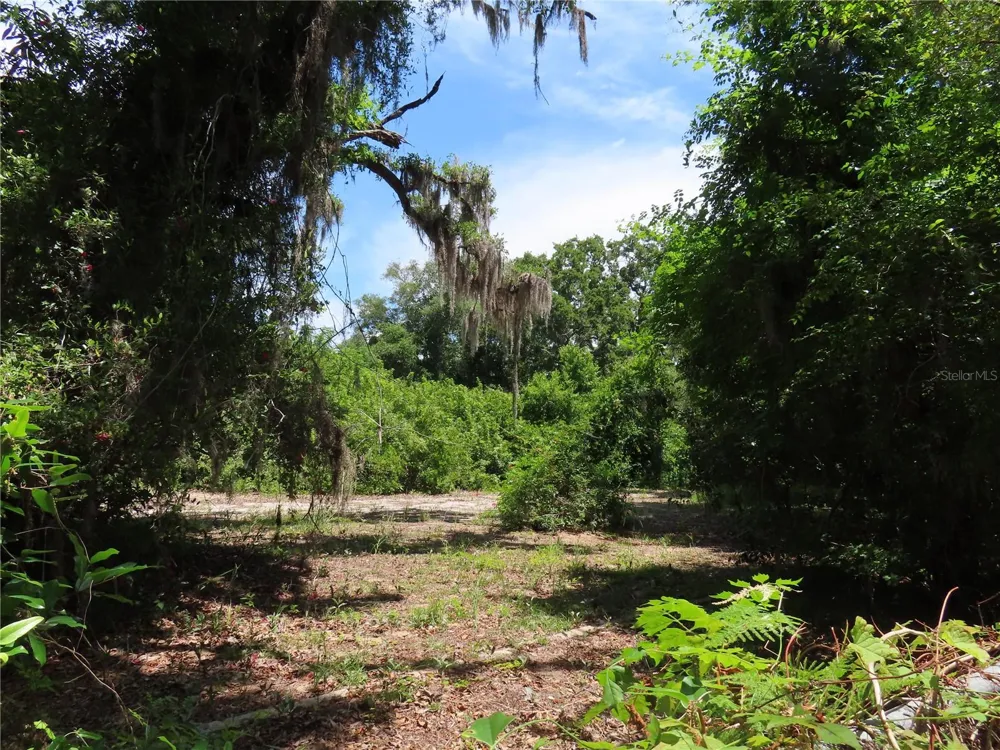 MAYO Crystal Beach, FL 34681