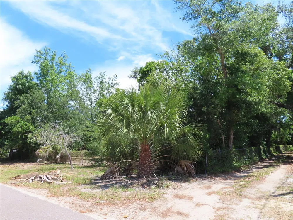 MAYO Crystal Beach, FL 34681