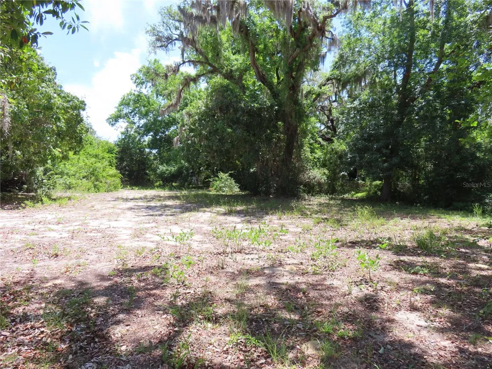 MAYO Crystal Beach, FL 34681