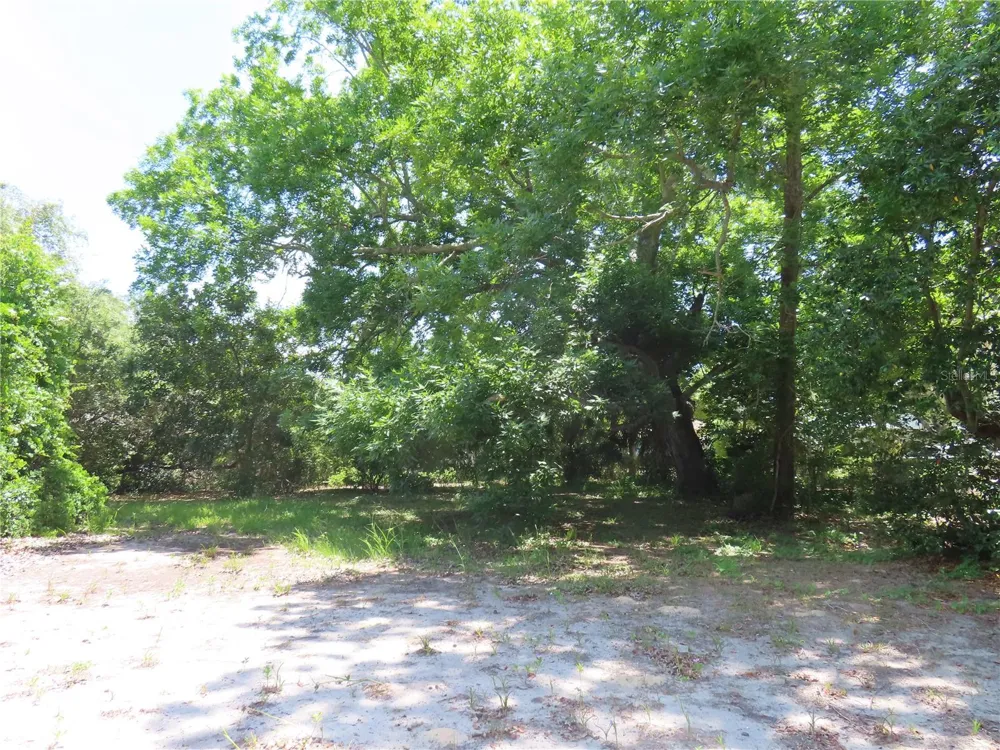 MAYO Crystal Beach, FL 34681