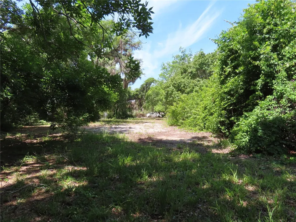 MAYO Crystal Beach, FL 34681