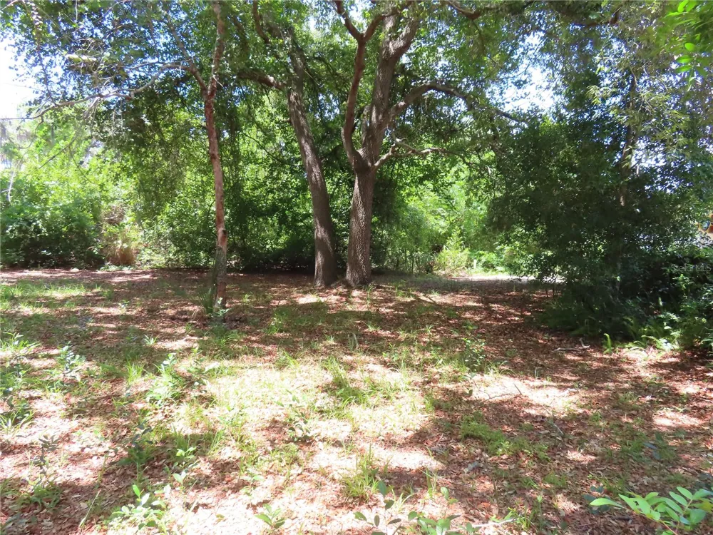 MAYO Crystal Beach, FL 34681