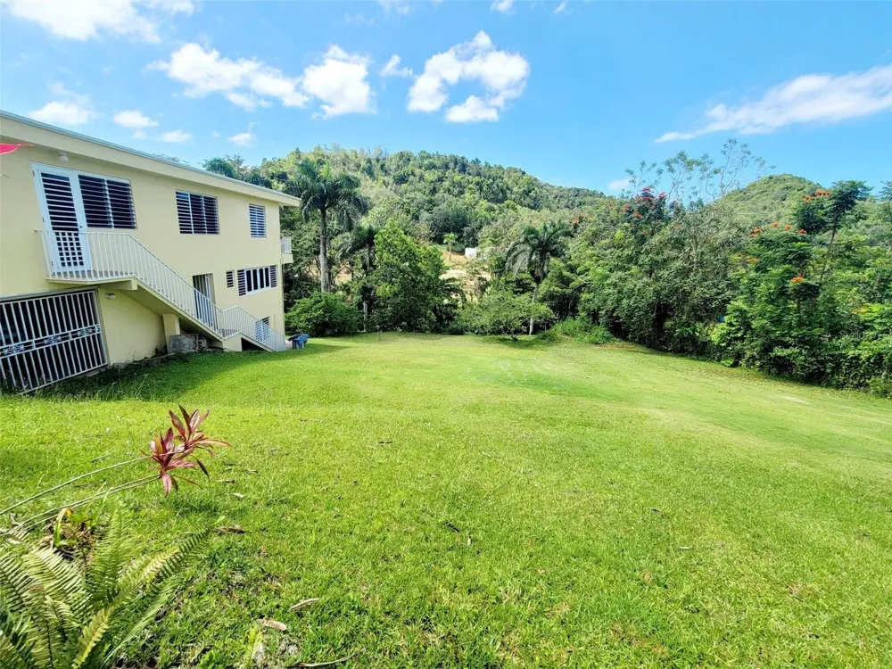 8C CLAVEL ST. Dorado, PR 00646