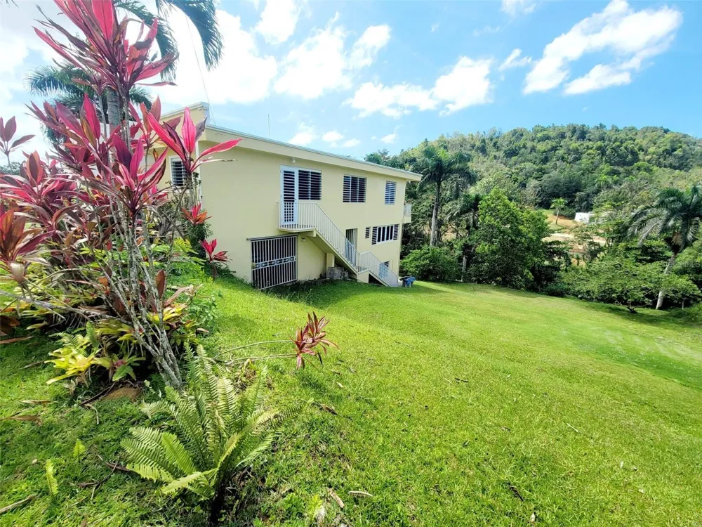 8C CLAVEL ST. Dorado, PR 00646