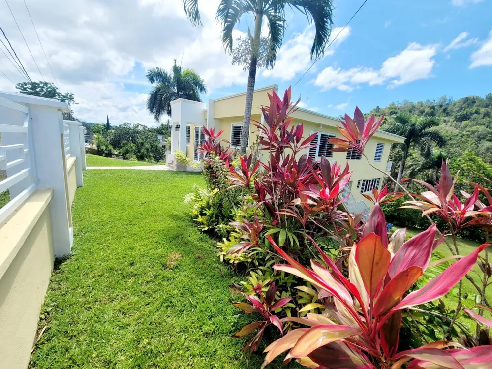 8C CLAVEL ST. Dorado, PR 00646