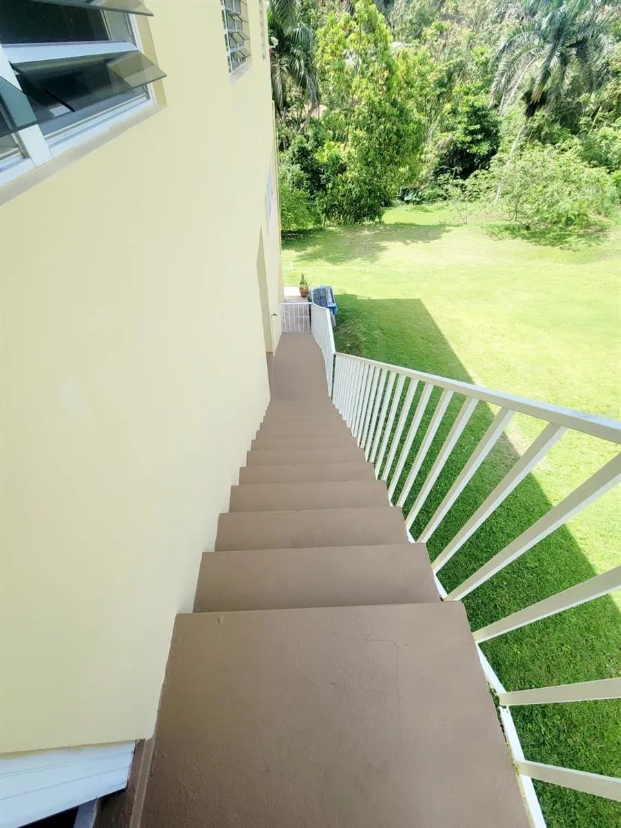 8C CLAVEL ST. Dorado, PR 00646