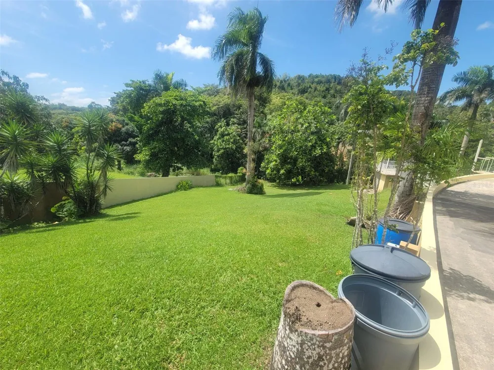 8C CLAVEL ST. Dorado, PR 00646