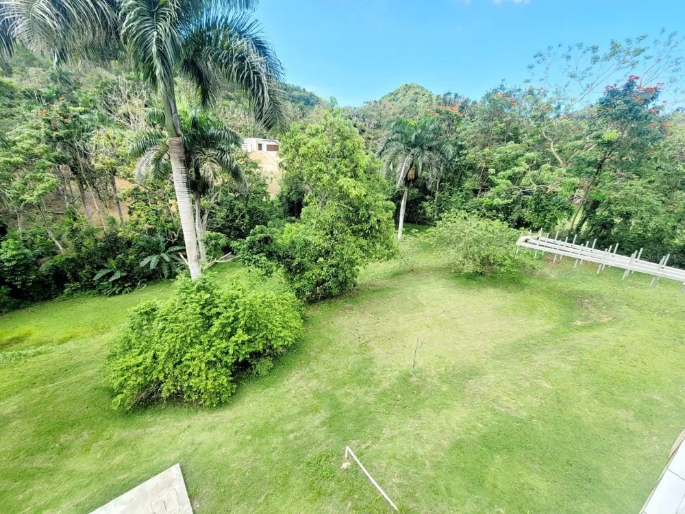 8C CLAVEL ST. Dorado, PR 00646