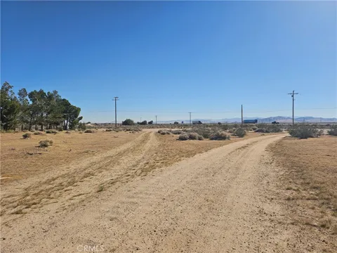 yermo