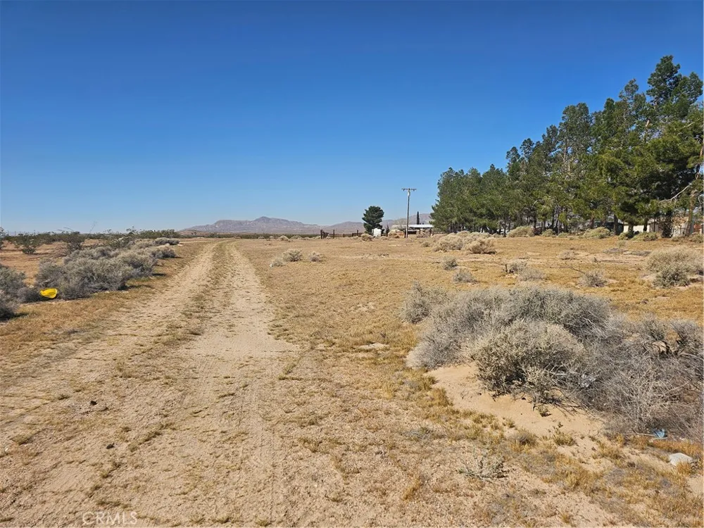 yermo Yermo, CA 92398