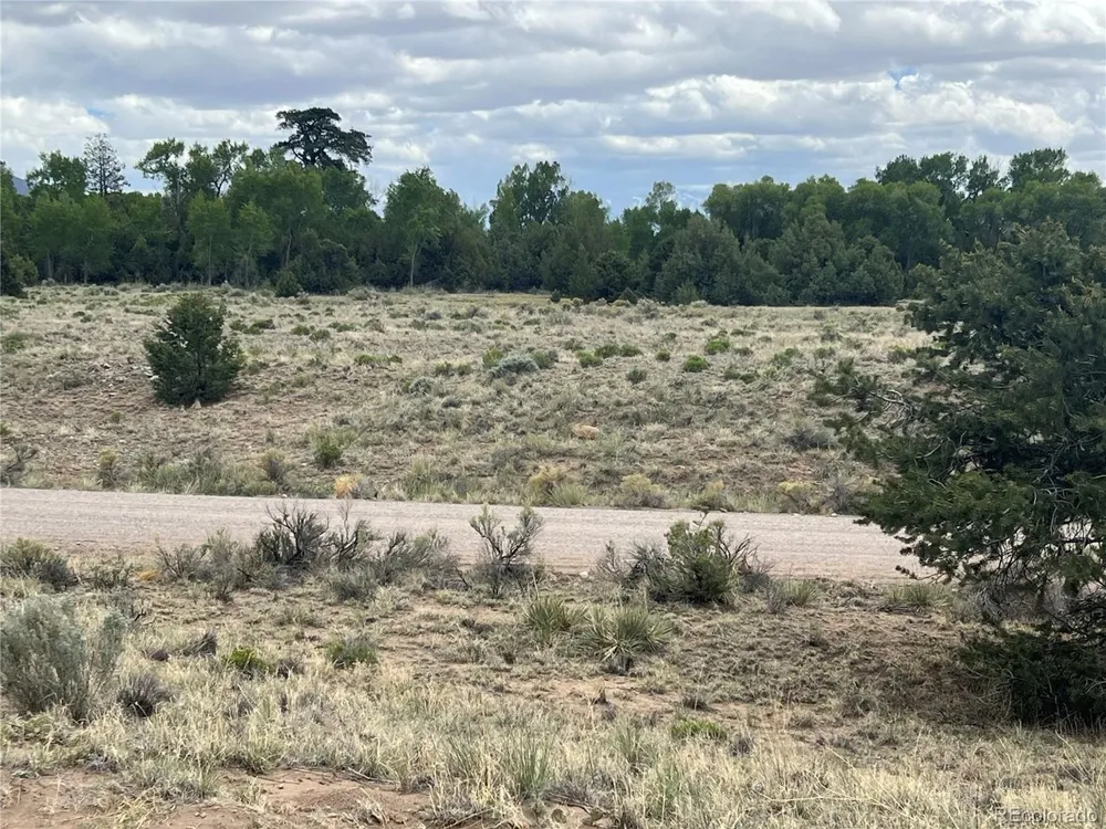 1592 Spanish Creek Road Crestone, CO 81131