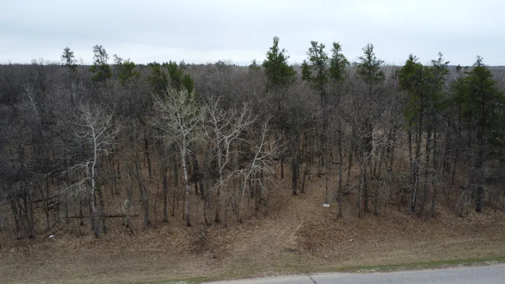 TBD Co Hwy 37 Ponsford, MN 56575