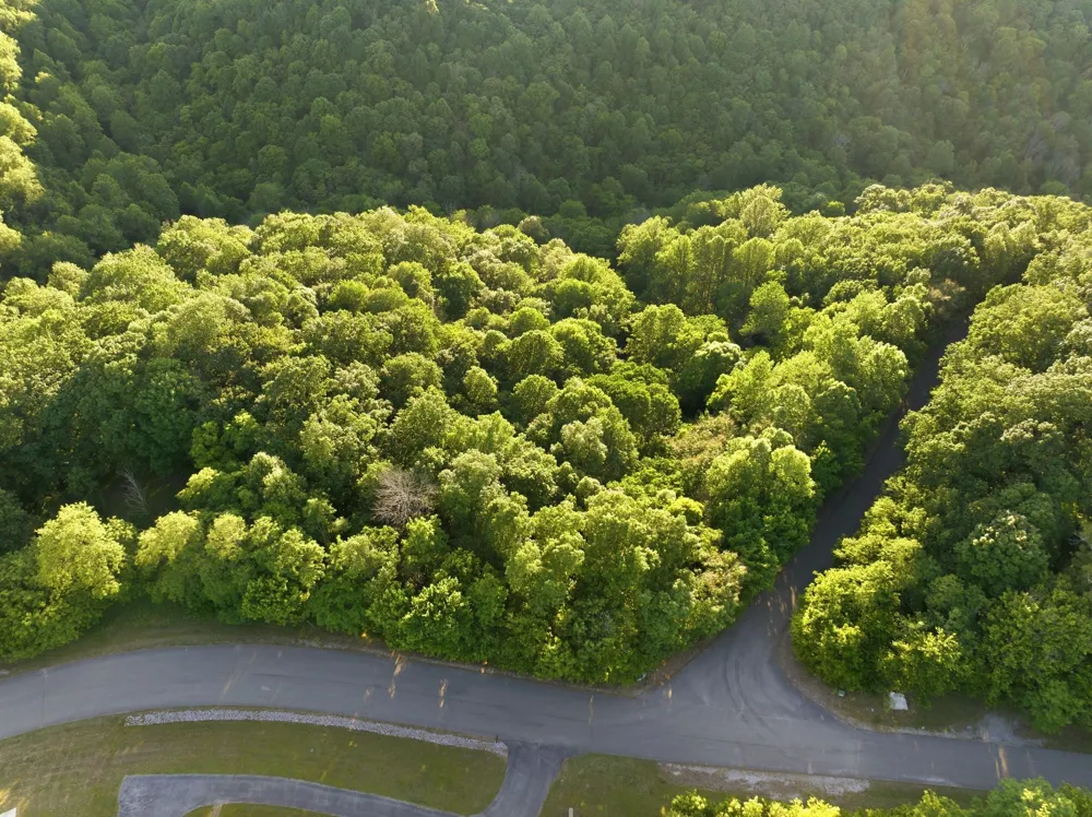 0 Davidson Road Smithville, TN 37166