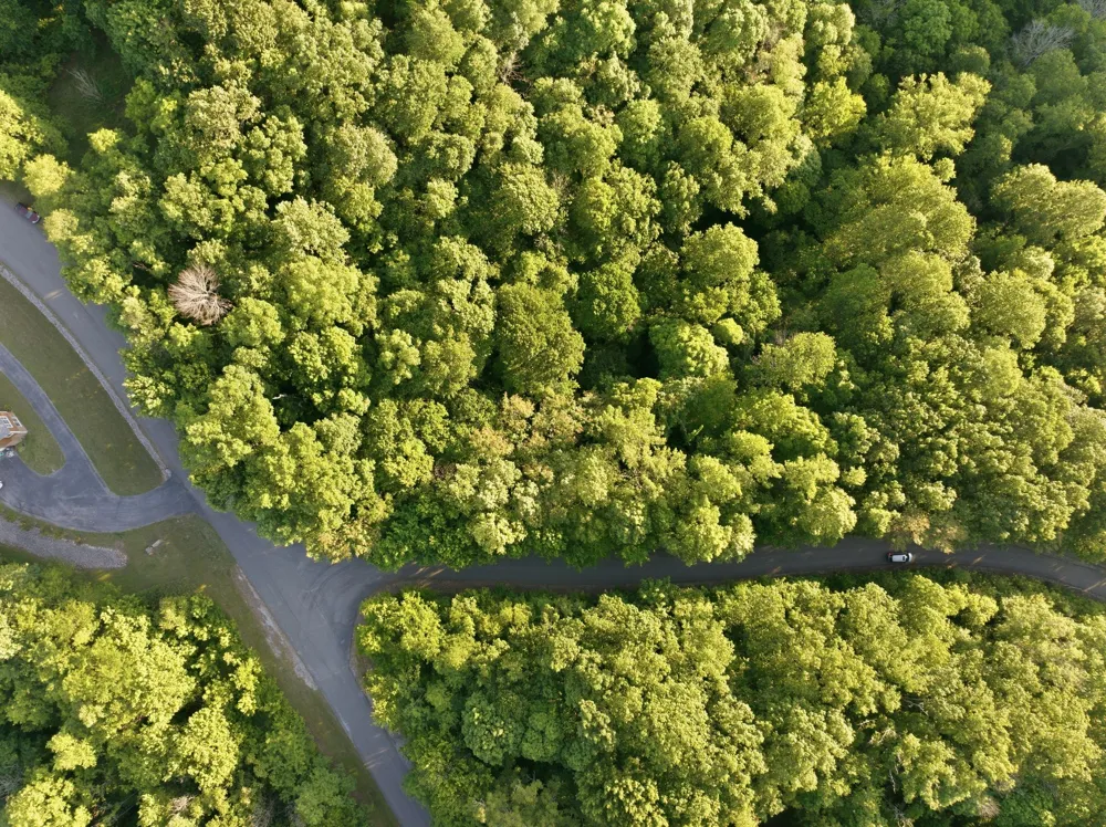 0 Davidson Road Smithville, TN 37166