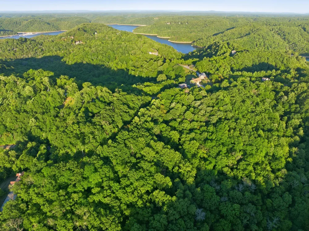 0 Davidson Road Smithville, TN 37166