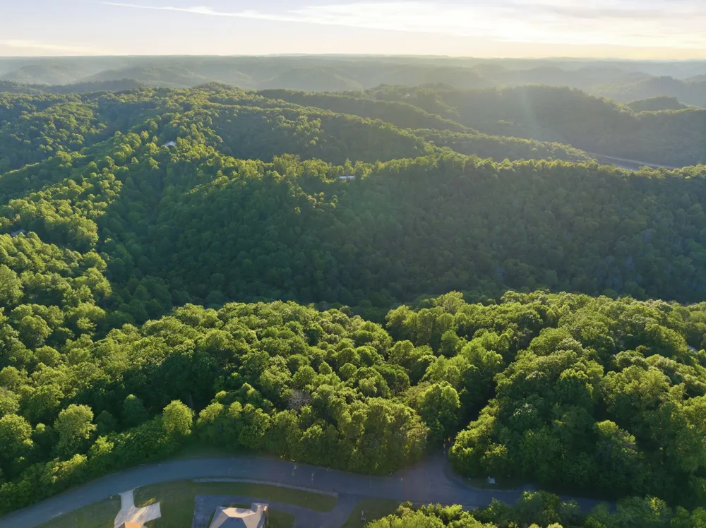 0 Davidson Road Smithville, TN 37166