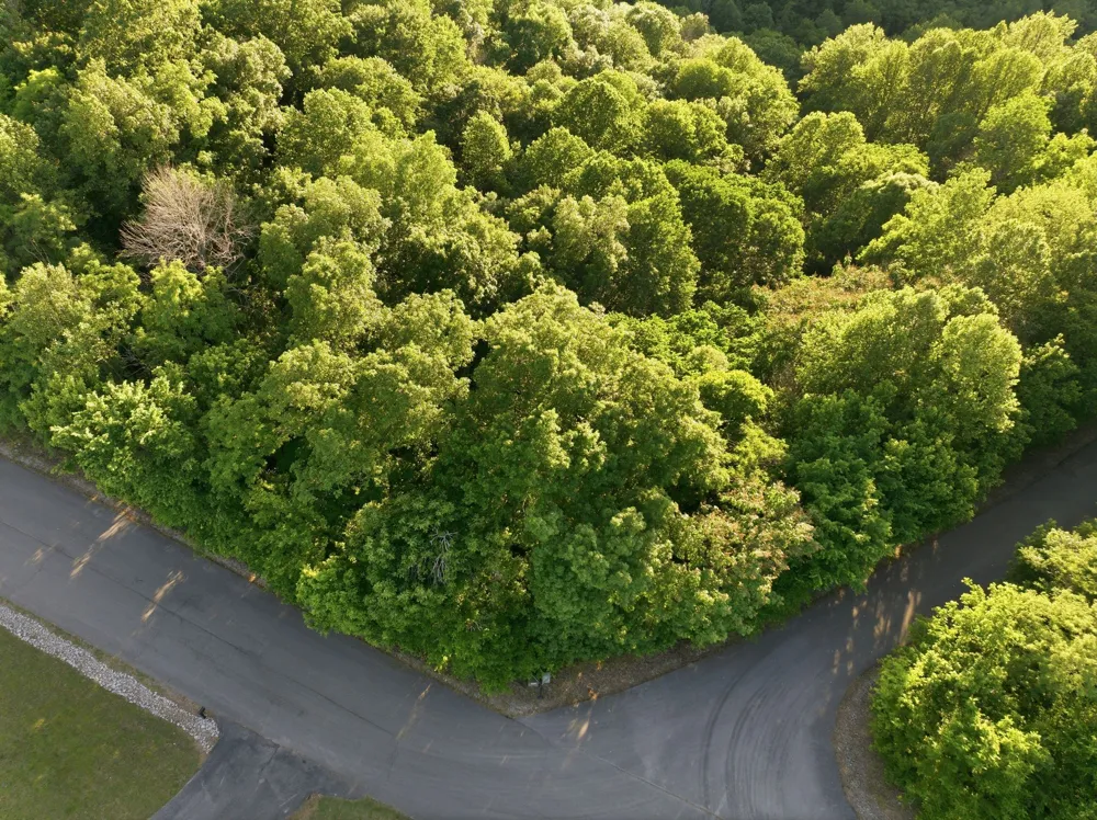 0 Davidson Road Smithville, TN 37166