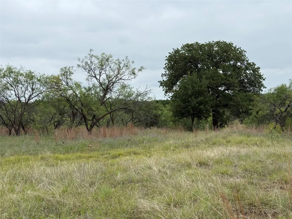 Vista Pointe Drive Chico, TX 76431