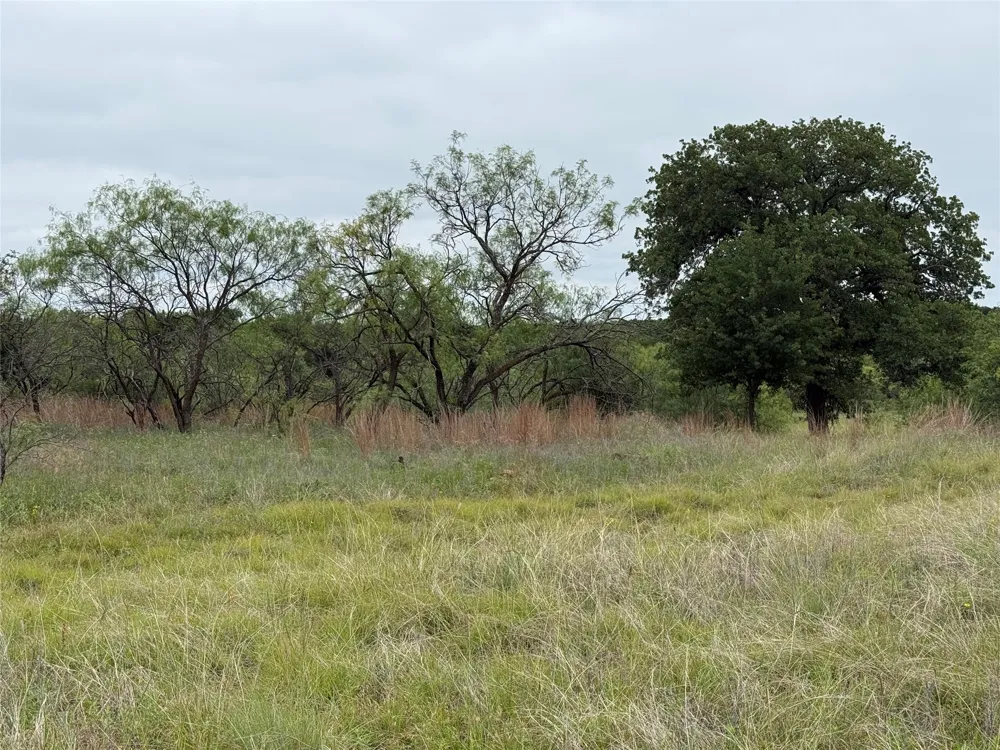 Vista Pointe Drive Chico, TX 76431