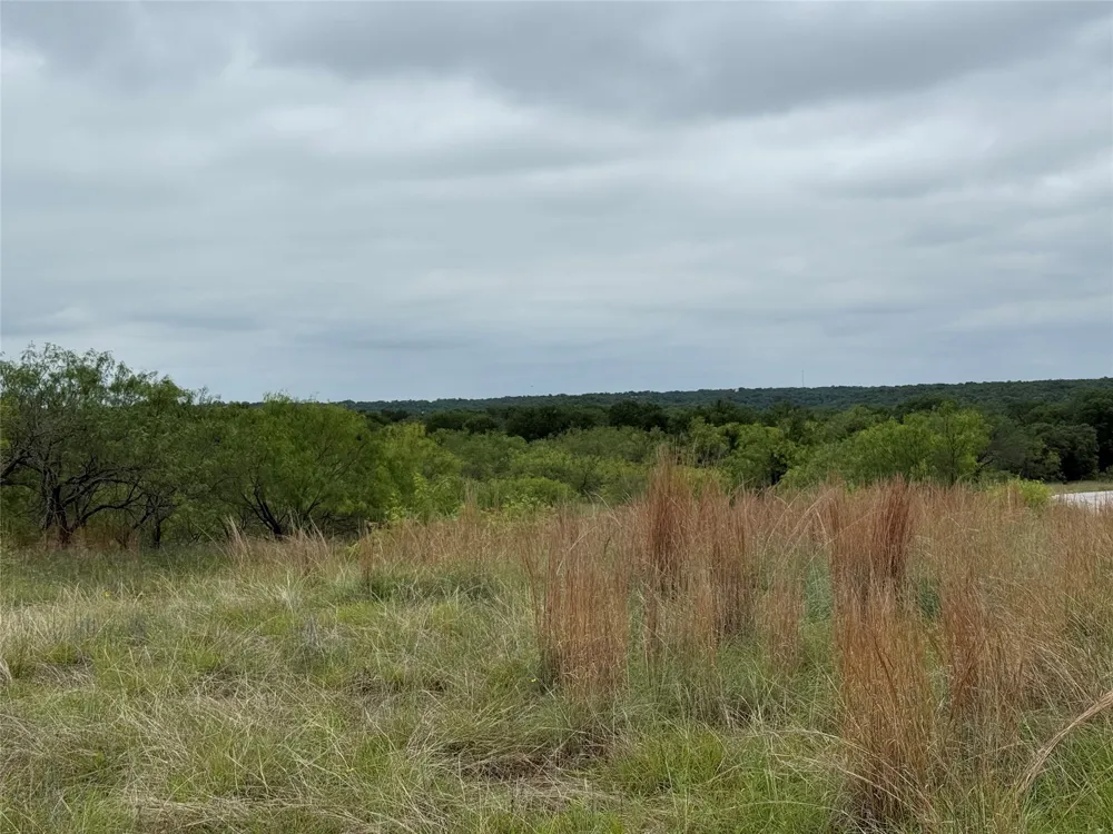 Vista Pointe Drive Chico, TX 76431