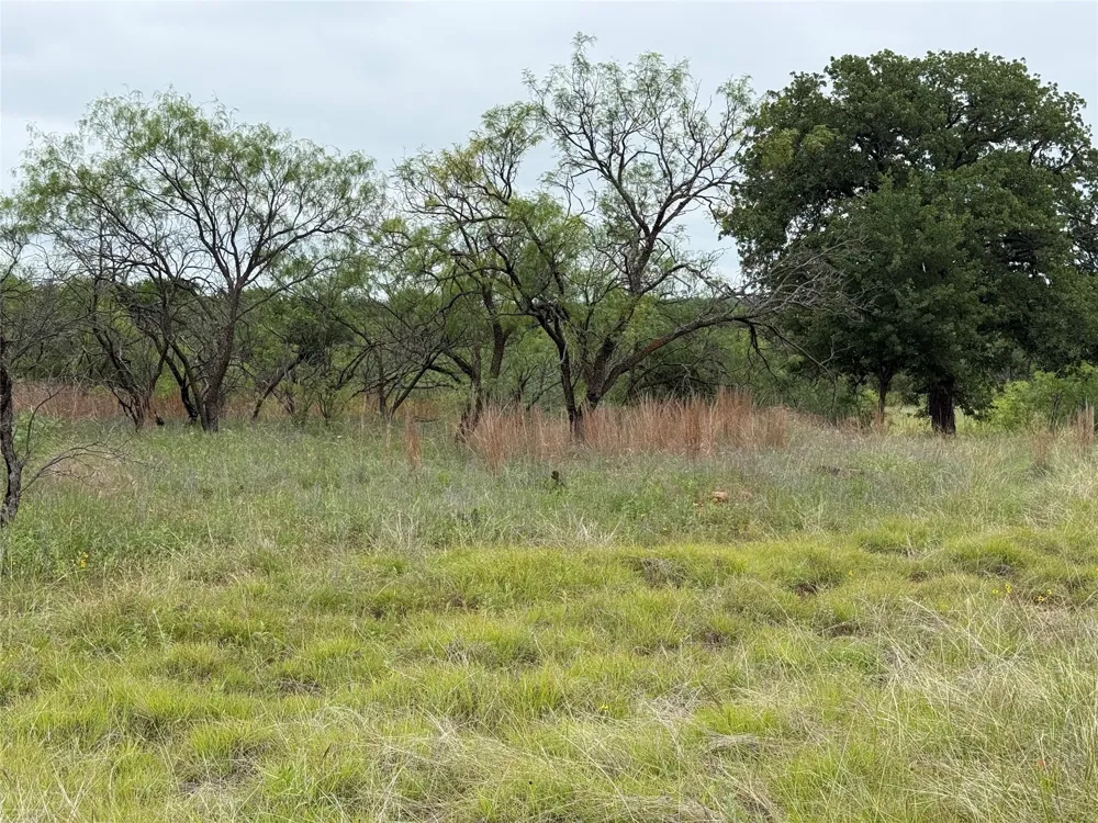 Vista Pointe Drive Chico, TX 76431