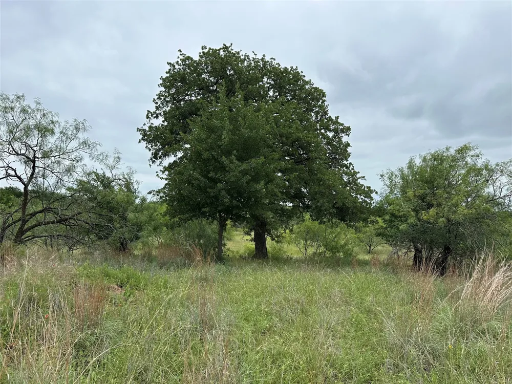 Vista Pointe Drive Chico, TX 76431