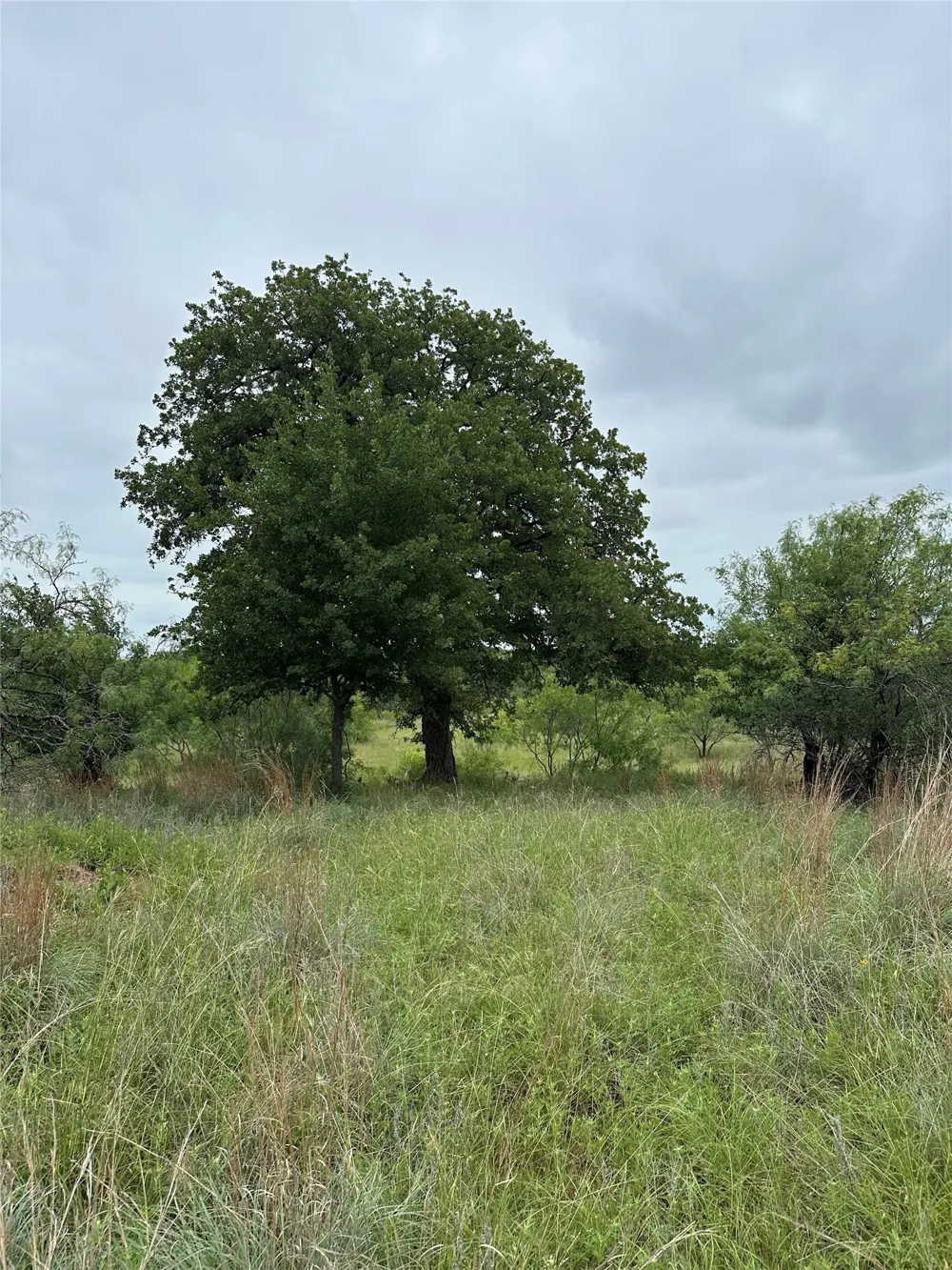 Vista Pointe Drive Chico, TX 76431
