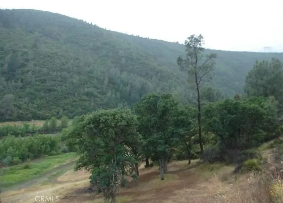 18524 Bartlett Springs Road Lucerne, CA 95458