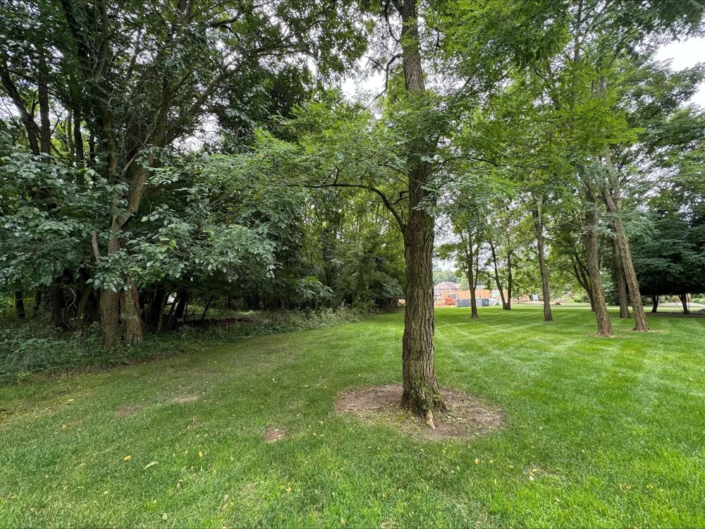 10565 Pierport Drive Portage City, MI 49024