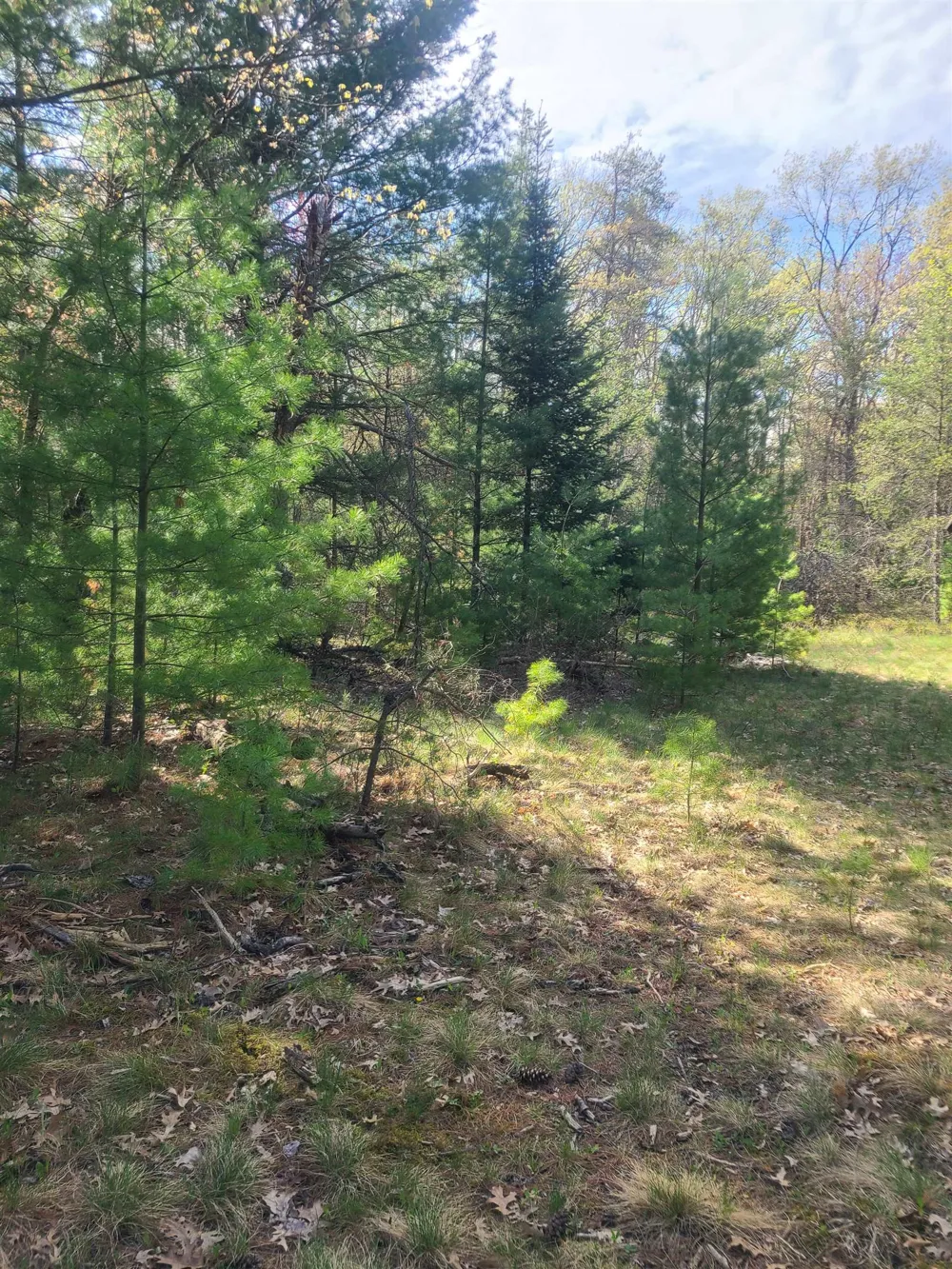 3856 Old State Road Grant Township, MI 48748