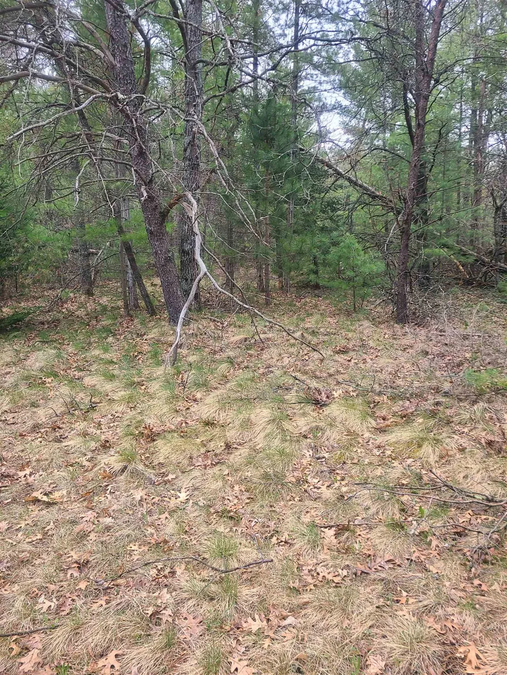 3856 Old State Road Grant Township, MI 48748