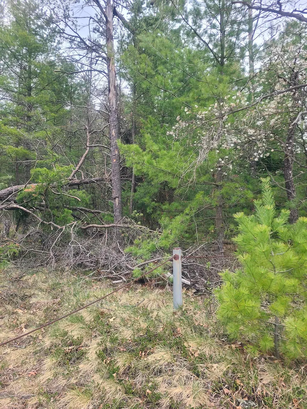 3856 Old State Road Grant Township, MI 48748