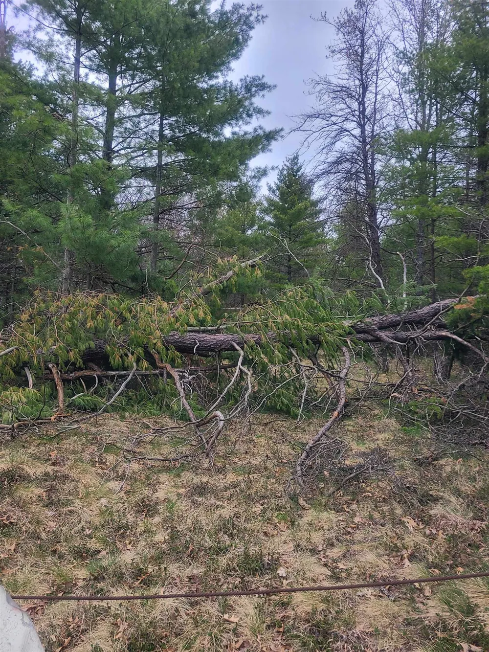 3856 Old State Road Grant Township, MI 48748
