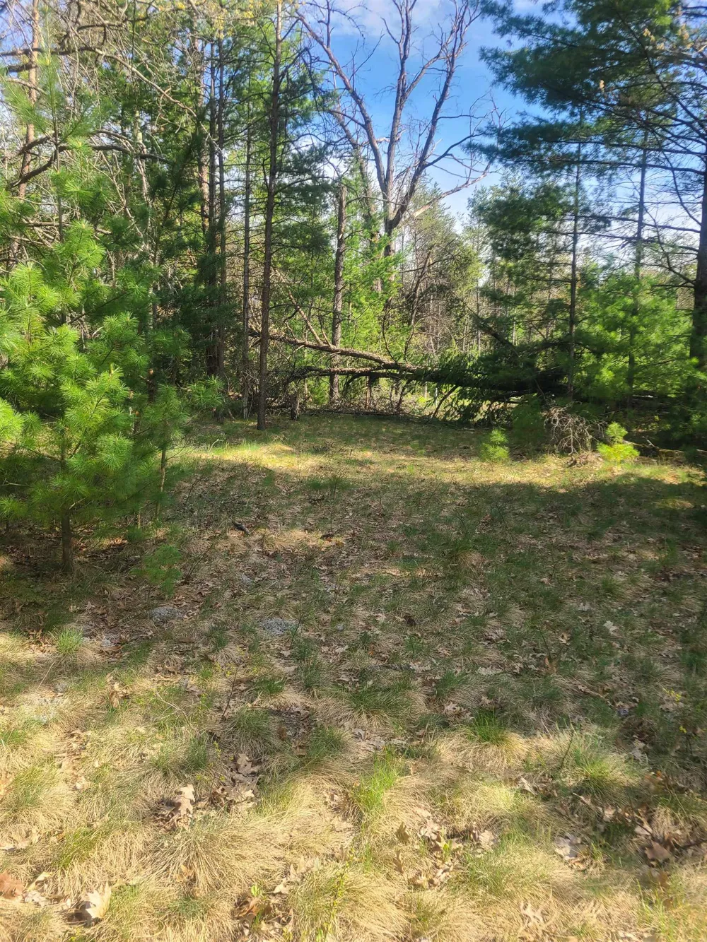 3856 Old State Road Grant Township, MI 48748
