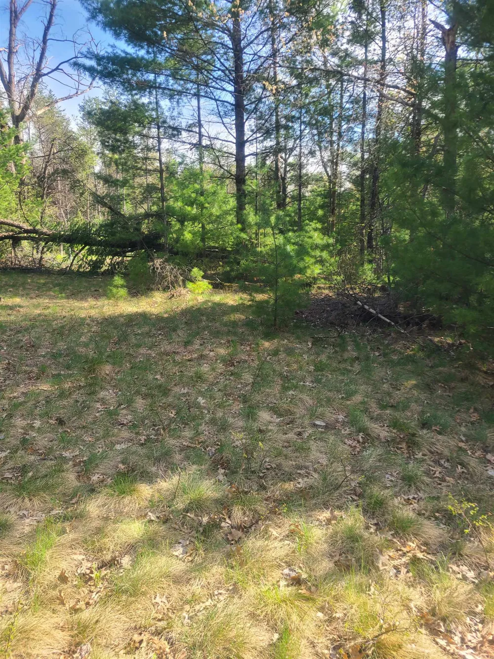 3856 Old State Road Grant Township, MI 48748