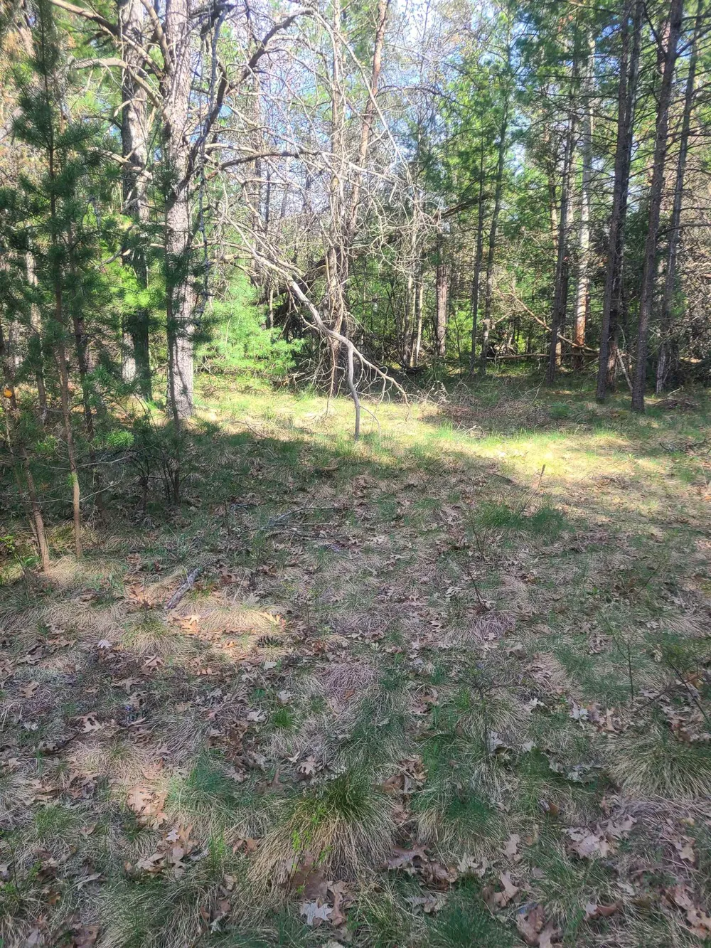 3856 Old State Road Grant Township, MI 48748
