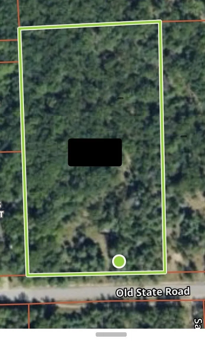 3856 Old State Road Grant Township, MI 48748