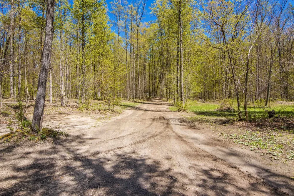 W Elder Custer Township, MI 49659