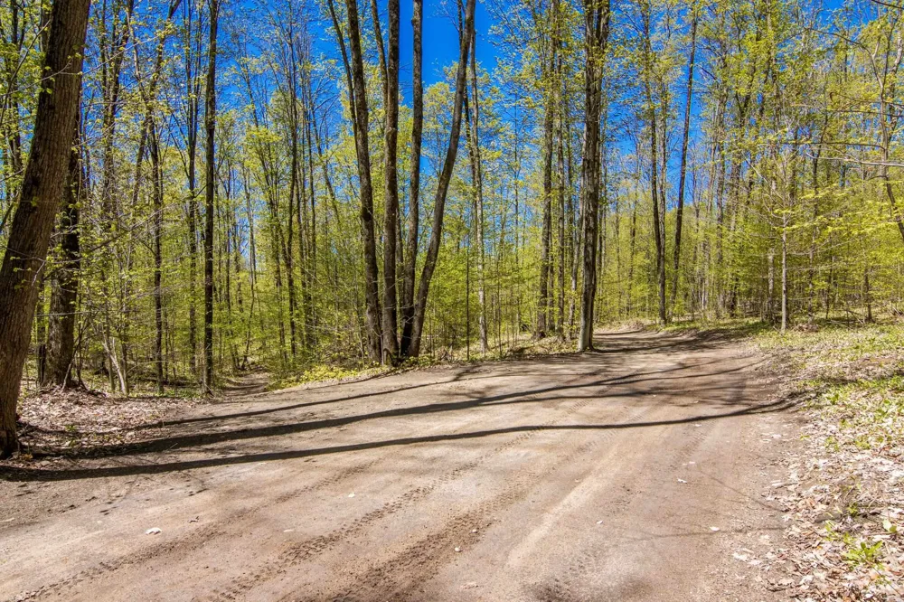 W Elder Custer Township, MI 49659