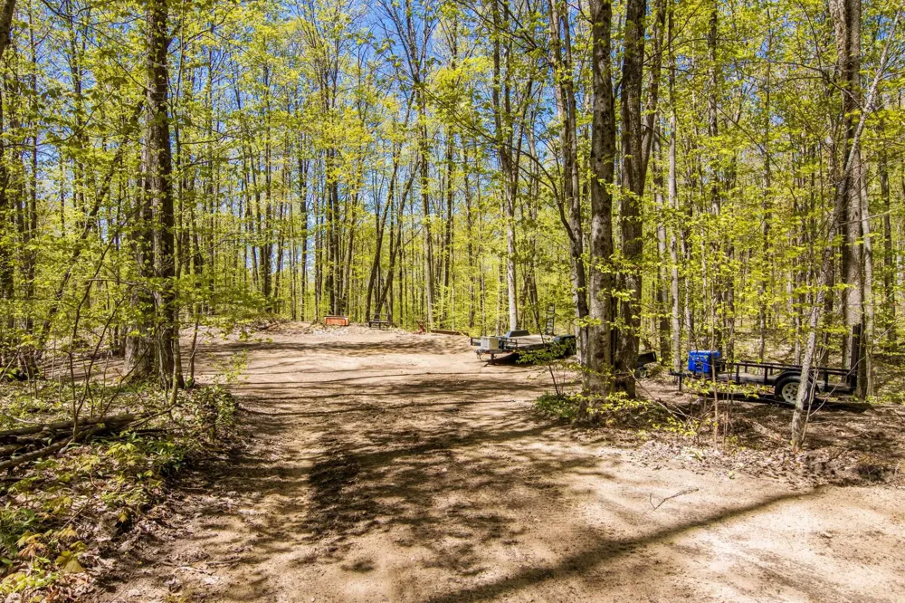 W Elder Custer Township, MI 49659