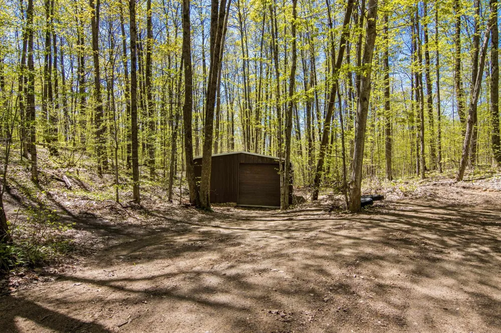 W Elder Custer Township, MI 49659