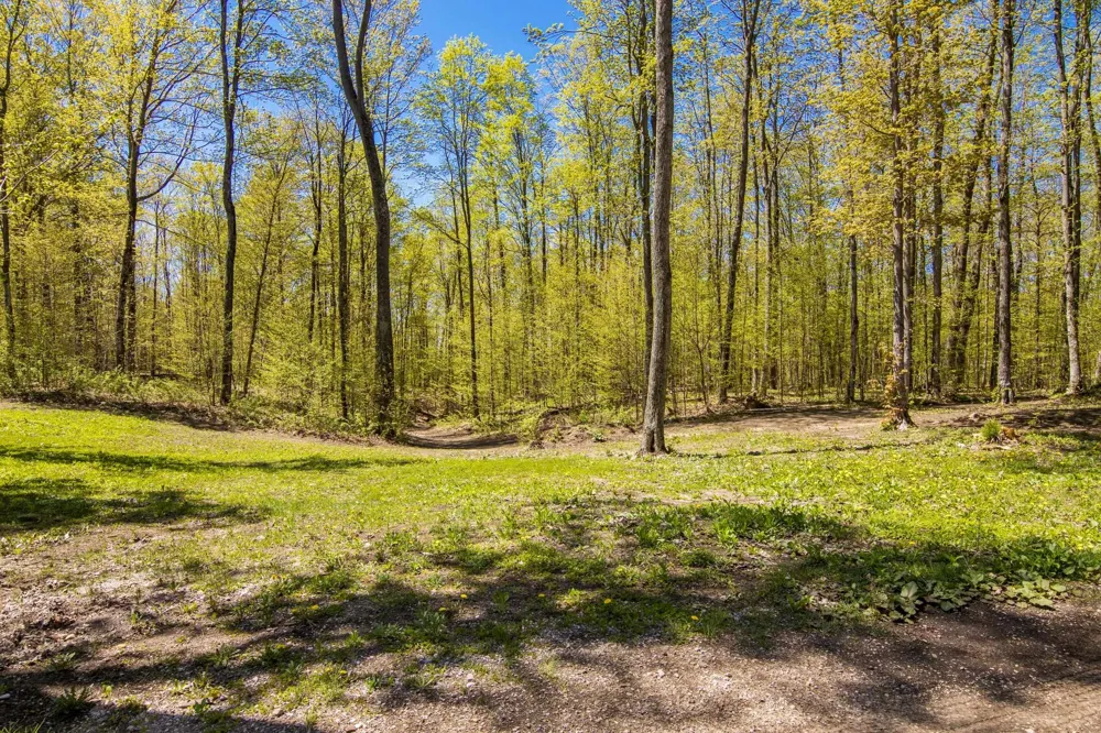 W Elder Custer Township, MI 49659