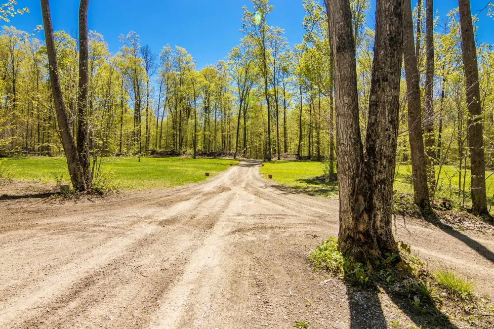 W Elder Custer Township, MI 49659